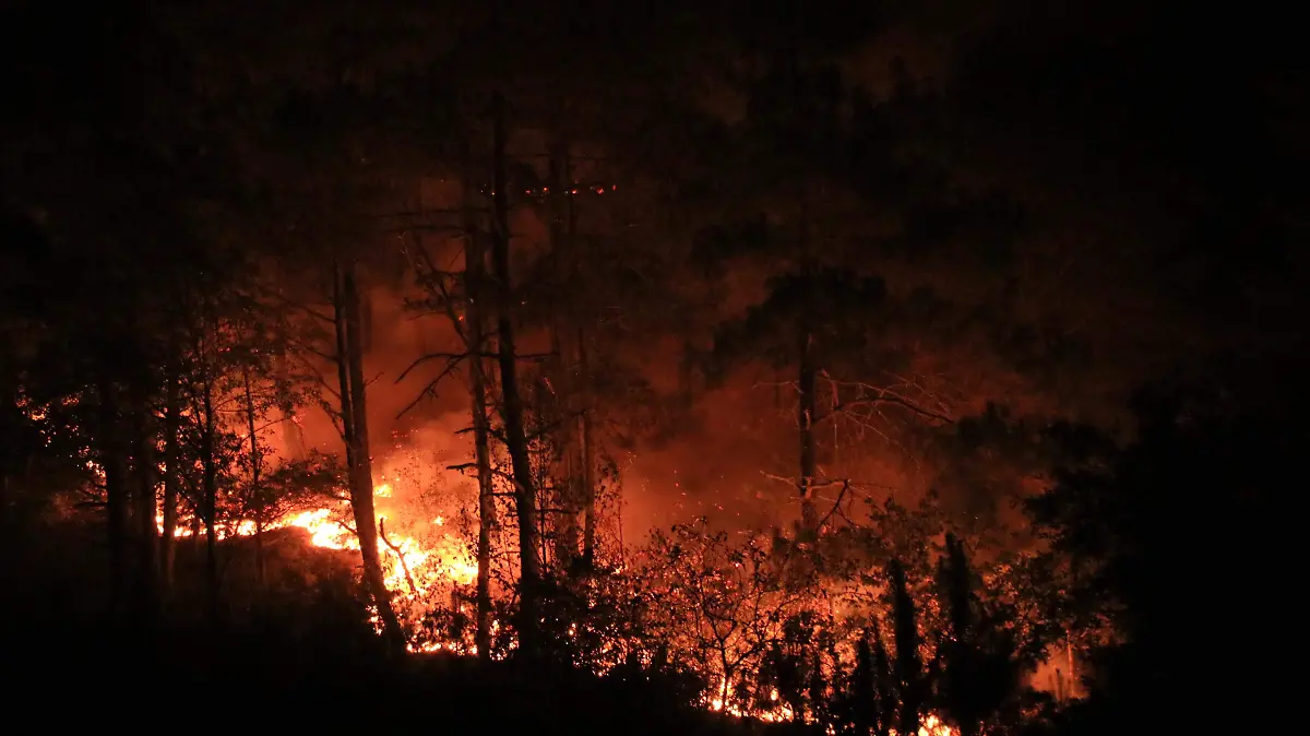 Incendio consume bosque y viviendas en comunidades de Zacatlán